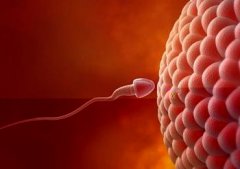 弱精症的原因是什么